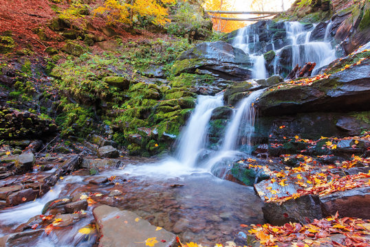 beautiful scenery of waterfall shypot. sunny autumn afternoon. fallen foliage and moss on a massive boulders. rapid water steam of carpathians. popular travel destination