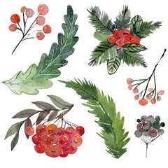 .Watercolor Christmas set of winter plants. Christmas decorations, needles. red berries, cones and Christmas trees