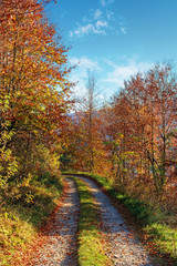 Fototapeta na wymiar country road through forest in autumn. beautiful dry october weather on a sunny morning. trees in fall foliage. path along the grassy edge of a hillside. blue sky with clouds