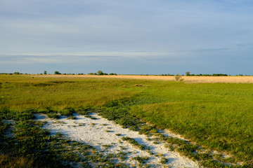Abendstimmung am Geiselsteller bei Illmitz  Neusiedler See bei Illmitz im Nationalpark Neusiedler...