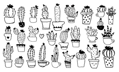 A collection of different types of cacti in pots. Line sketch. Hand drawing of home plants. Doodle vector isolated on a white background.