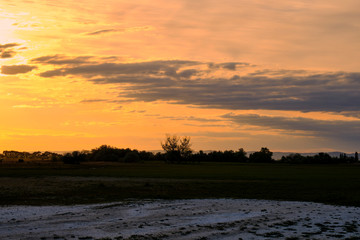 Abendstimmung am Geiselsteller bei Illmitz  Neusiedler See bei Illmitz im Nationalpark Neusiedler See, Burgenland, Österreich