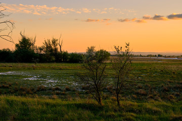 Abendstimmung am Geiselsteller bei Illmitz  Neusiedler See bei Illmitz im Nationalpark Neusiedler See, Burgenland, Österreich