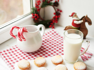 Christmas cookies, milk, cocoa, marshmallows, meringues on a white background by the window