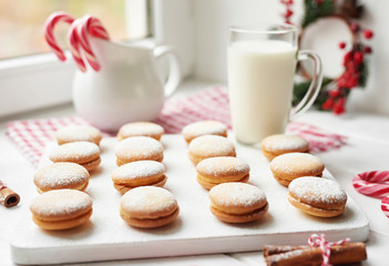 Christmas cookies, milk, cocoa, marshmallows, meringues on a white background by the window