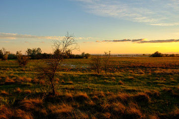Fototapeta premium Abendstimmung am Geiselsteller bei Illmitz Neusiedler See bei Illmitz im Nationalpark Neusiedler See, Burgenland, Österreich