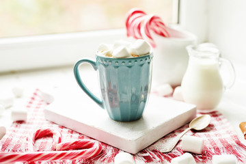 Christmas cookies, milk, cocoa, marshmallows, candies on a white plate by the window