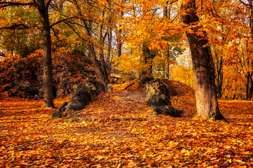 beatiful golden autumn in estonia