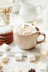 Christmas cookies, milk, cocoa, marshmallows, meringue on a white plate by the window