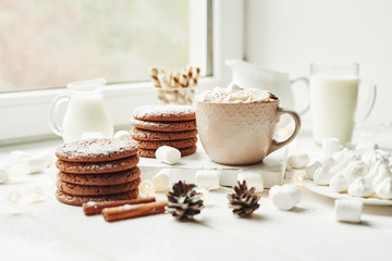 Christmas cookies, milk, cocoa, marshmallows, meringue on a white plate by the window
