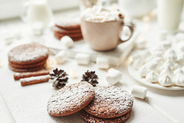 Christmas cookies and marshmallows on a white background by the window