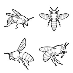 Bee Animal Vector Illustration Hand Drawn Cartoon Art