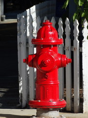 Solo Red Fire Hydrant