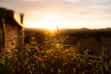 Tourisme Ardeche activite nature