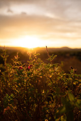 Tourisme Ardeche activite nature