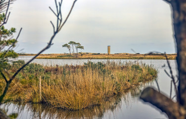 Wide Shot of Coastal Pond and Watchtower