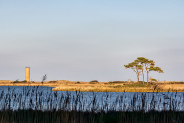 Rehoboth Beach Landscape with Watchtower