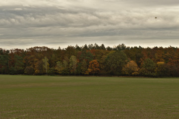 Green field by the forest wall with dramatic cloudy gray sky. Autumn in the Poznań, Poland