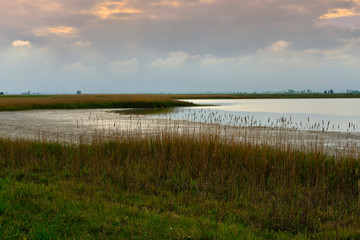 Unwetter über der Langen Lacke und der Wörthenlacke bei Apetlon im Nationalpark Neusiedler See, Burgenland, Österreich