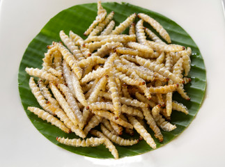 worm called bamboo caterpillar is popular weird food or jungle food in Thailand.