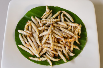 worm called bamboo caterpillar is popular weird food or jungle food in Thailand.