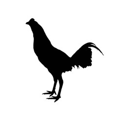 illustration of a red rooster silhouette. Isolated white background. Icon cock side view profile. silhouette of a bird
