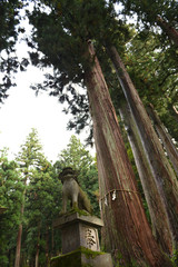 大前神社の狛犬（秋夕方）