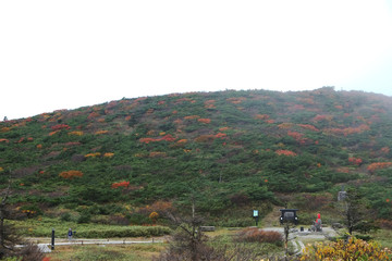 Autumn on mountain, Zao onsen, Japan