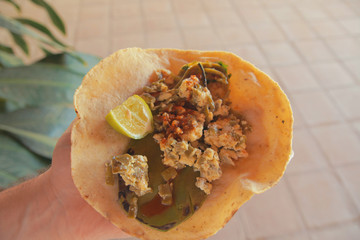 Homemade tortilla with nopal