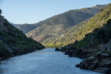 River Douro flowing through narrow gorge with terraces of wines and vineyards on the banks in Portugal near Pinhao