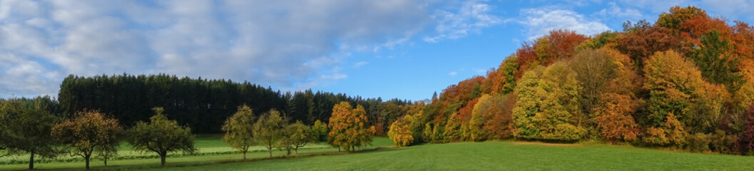 Naklejka premium Herbstwald Panorama Laubwald und Nadelwald