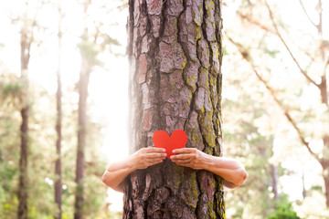 Two woman hands hugging a tree trunk and holding a red heart made of paper - love for outdoors and nature - earth's day concept. People save the planet from deforestation