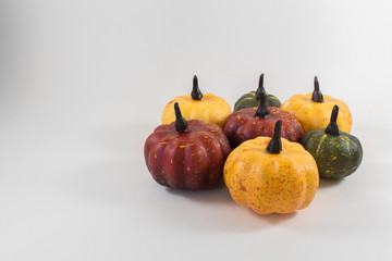 Holiday Pumpkin Set-4