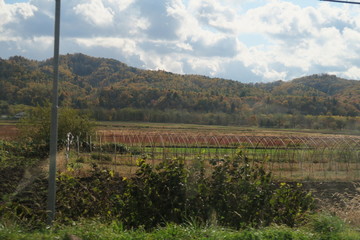 秋の日本国北海道の田舎の畑