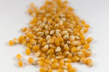 Pop Corn Kernels-4