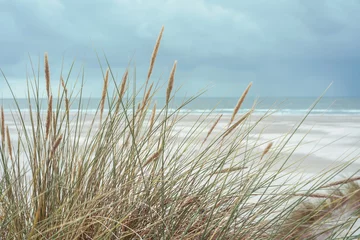Dünenlandschaft an der Nordseeküste © ThomBal