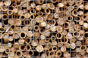 Insektenhotel / Insektenhaus - Insect hotel / insect house