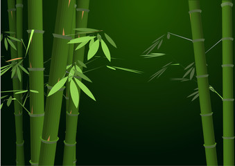 Fototapeta na wymiar background with bamboo
