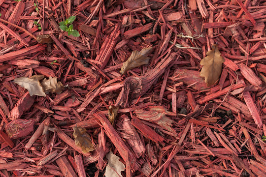 Colored Sawdust Mulch. Close-up Background.