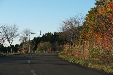 日本国北海道の秋の紅葉