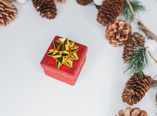 Christmas card: red gift box and Christmas tree branch on white