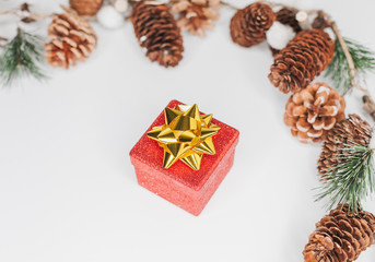 Fototapeta na wymiar Christmas card: red gift box and Christmas tree branch on white