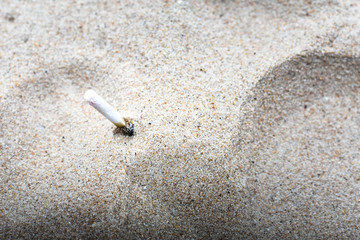 The cigarette butt stuck in sand on the beach. Environment polution