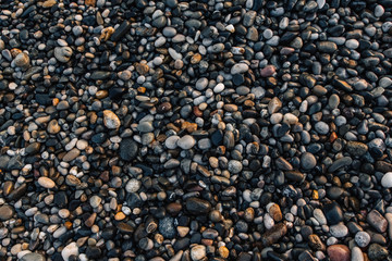 Gravel pattern of wet colored stones. Abstract nature pebbles background. Stone background. Sea peblles beach. Top view