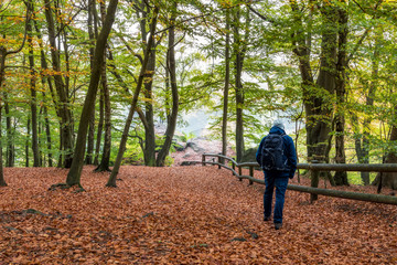 Wandern zuden Externsteinen