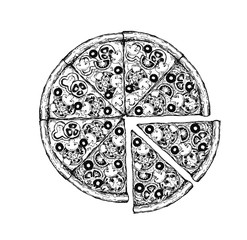 Vector drawing, pizza, table, organic food ingredients. Hand drawn pizza illustration. Great for menu, poster or label.