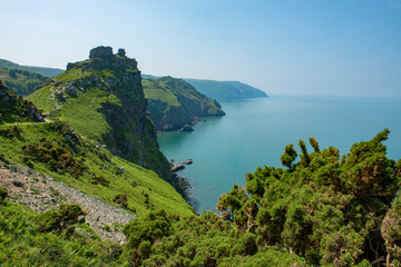 Steep cliffs with flowers growing amongst the rocks, Lynton, North Devon near the Valley of the Rocks