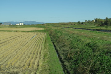 Fototapeta na wymiar 秋の日本国北海道の田舎の畑