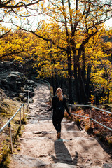 A blonde travel girl exploring the nature rock paths in the mountains with autumn color tones and sunny day. National Park Harz, Germany