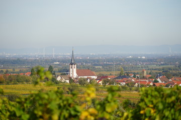 Sonniger Panoramablick von den Weinbergen bei St. Martin auf Maikammer